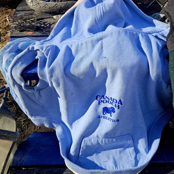 Assortment Of Large Breed Dog Coats And Pyjamas - Picture 5 of 15